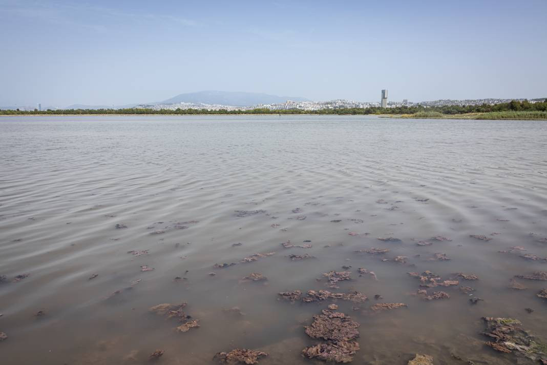 İzmir’de denizin rengi değişti! Görüntü ne ifade ediyor? - Resim: 29